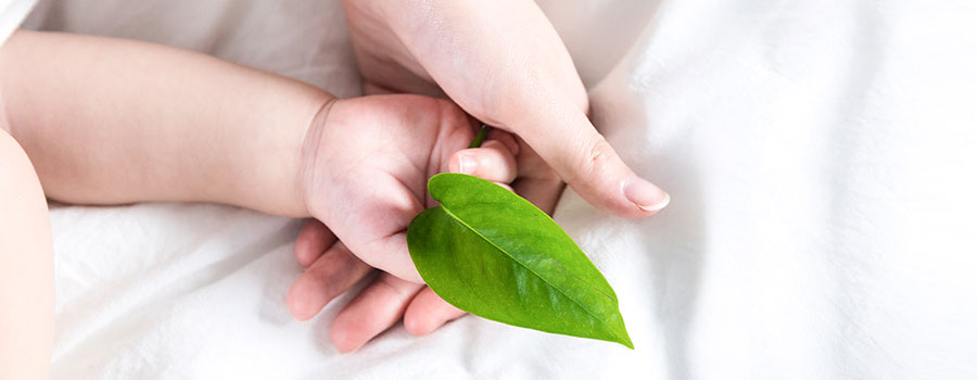 節(jié)能環(huán)保